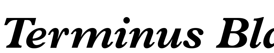 Terminus Black SSi Bold Italic Font Download Free