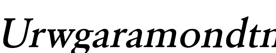URWGaramond TMed Oblique Font Download Free