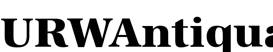 URWAntiqua TExt Bol Font Download Free