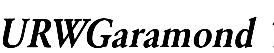 URWGaramond TDem Ext Nar Oblique Font Download Free