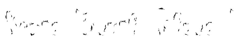 Sensa Brush Flora Base Font Download Free