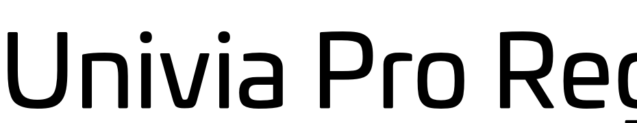 Univia Pro Regular Font Download Free