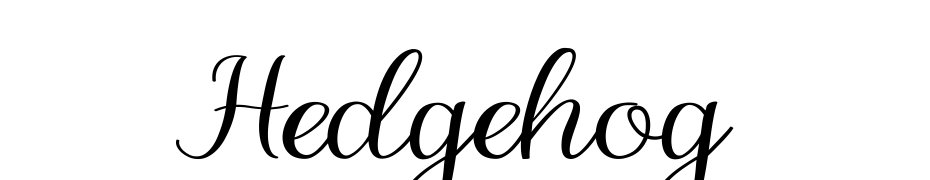 Hedgehog Font Download Free