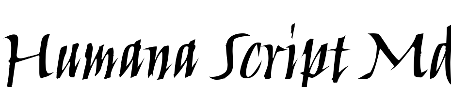 Humana Script Md ITC TT Medium cкачати шрифт безкоштовно