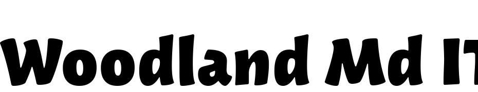 Woodland Md ITC TT Bold Scarica Caratteri Gratis