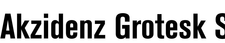 Akzidenz Grotesk Std Bold Cnd Yazı tipi ücretsiz indir