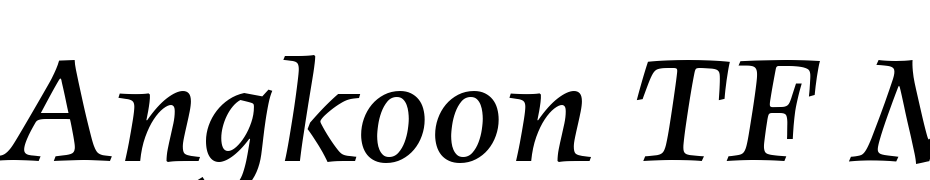 Angkoon TF Medium Italic Schrift Herunterladen Kostenlos