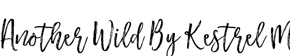 Another Wild By Kestrel Montes Font Download Free