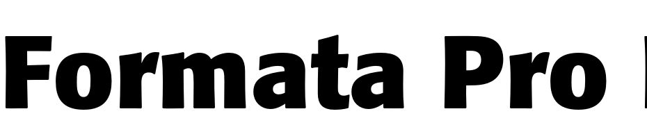 Formata Pro Bold Yazı tipi ücretsiz indir