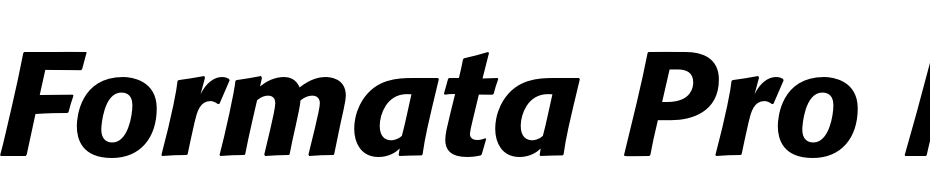 Formata Pro Medium Italic Font Download Free