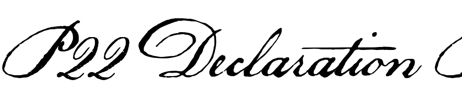 P22 Declaration Pro Schrift Herunterladen Kostenlos