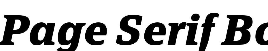 Page Serif Bold Italic cкачати шрифт безкоштовно