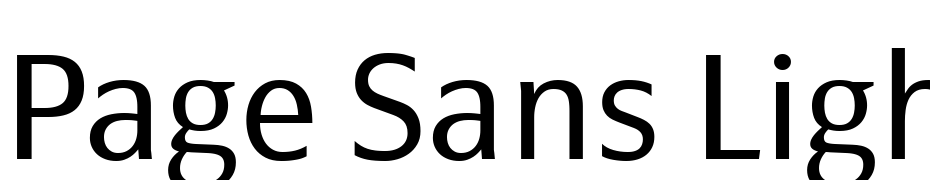 Page Sans Light cкачати шрифт безкоштовно