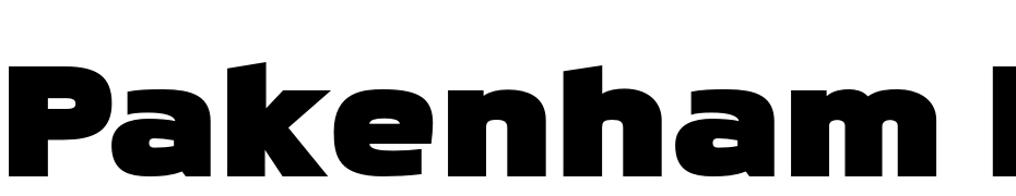 Pakenham Kayo Regular Font Download Free
