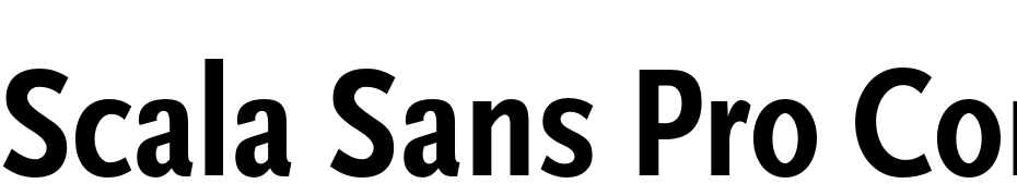 Scala Sans Pro Cond Bold Font Download Free