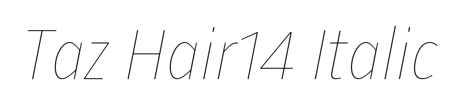 Taz Hair14 Italic Font Download Free