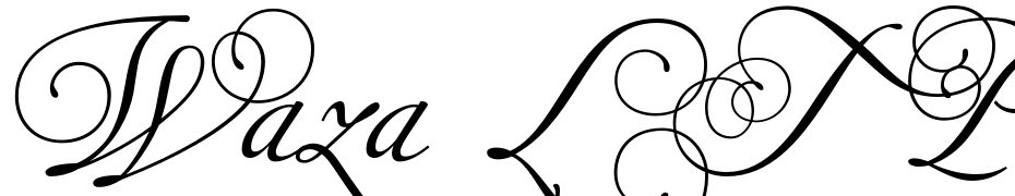 Waza LT Pro Font Download Free