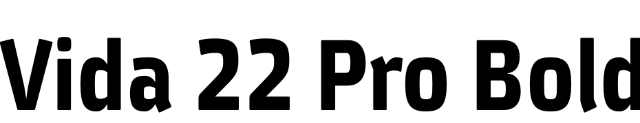 Vida 22 Pro Bold Font Download Free