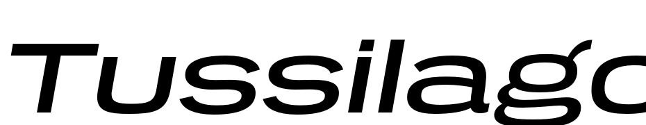 Tussilago Rg Italic Font Download Free