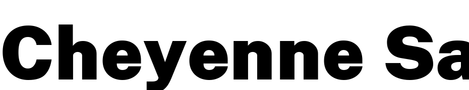 Cheyenne Sans Black Font Download Free