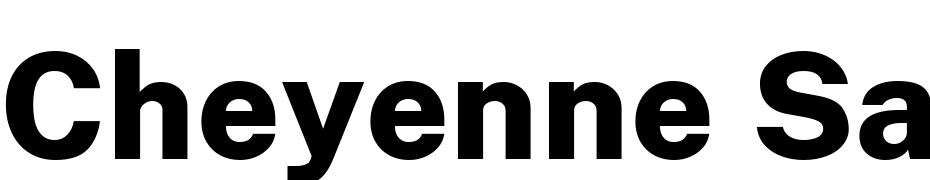 Cheyenne Sans Extra Bold Yazı tipi ücretsiz indir
