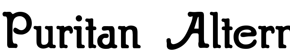 Puritan Alternate Bold Font Download Free