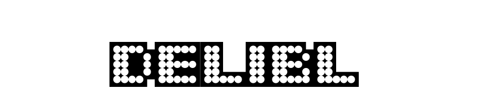 Delia Black Font Download Free