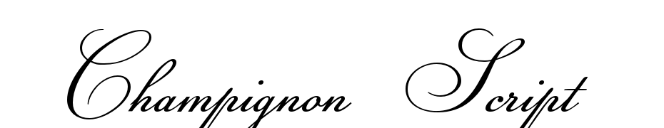 Champignon Script Polices Telecharger
